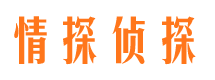 佳木斯市婚外情调查